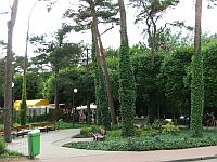 Park w Juracie